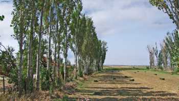 Yenice İlkokulu