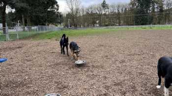 Columbia City Dog Park