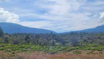 Mount Hood Village