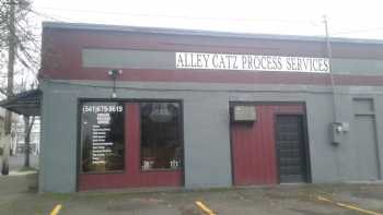 Alley Catz Process Services, LLC