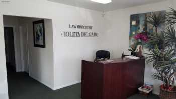 Law Offices of Violeta Delgado