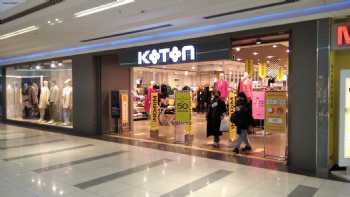 Koton