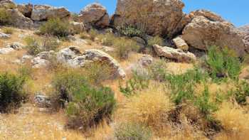 Borrego Springs