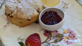 Betty Bumbles Vintage Tea Rooms