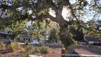 Frazier Mountain Park