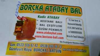 ARTVİN BORÇKA ATABAY BAL