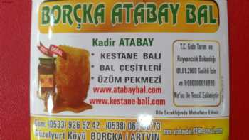 ARTVİN BORÇKA ATABAY BAL