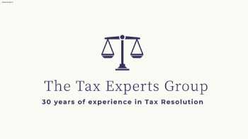 The Tax Experts Group