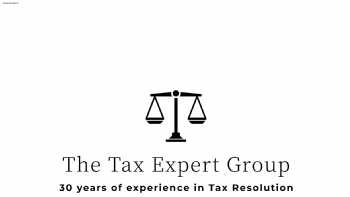 The Tax Experts Group