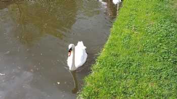 Wheaton Aston and Lapley Recreation Ground