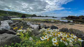 Ballintoy Harbour