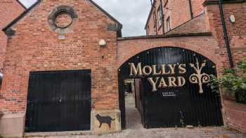 Molly's Yard