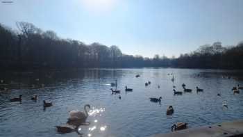 Gnoll Park