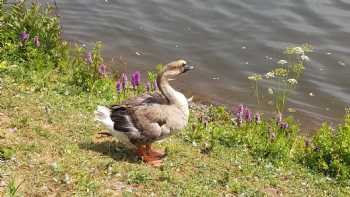 Gnoll Park