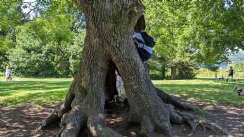 Gnoll Park