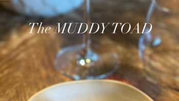 The MUDDY TOAD