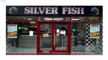 Silver Fish