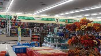 Dollar Tree