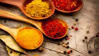 Spice of India