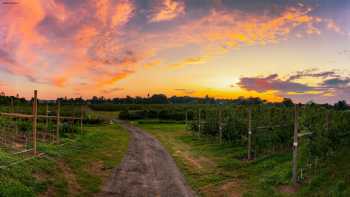 Brookdale Fruit Farm Inc.