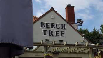 The Beech Tree