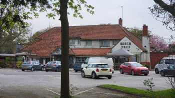 The Beech Tree