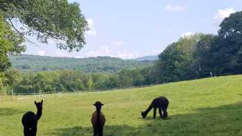 Whispering Winds Alpaca Farm