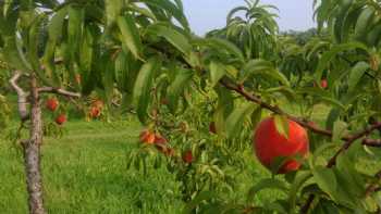 Gould Hill Farm