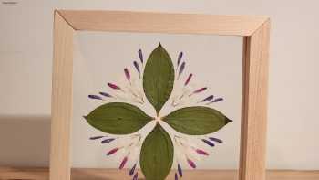 Meraki Pressed Flowers