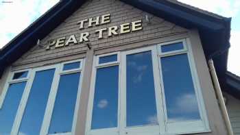 Pear Tree