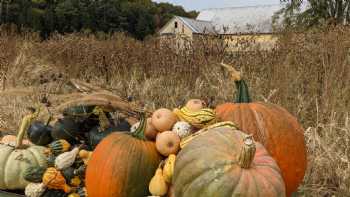 Farmer Hodge's Roadside Stand