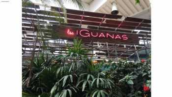 Las Iguanas - Center Parcs Longleat