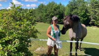 Wild Berry Farm