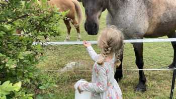 Wild Berry Farm