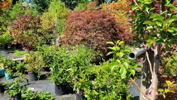 Faulkner Landscaping & Nursery