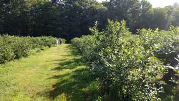 Berrybogg Farm