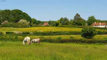 The White Lion