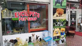 Evcil Pets