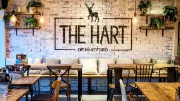 The Hart of Hartford