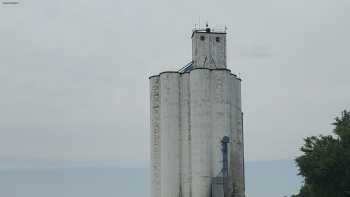 Beachner Grain Inc