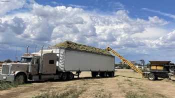 Western Alfalfa Co