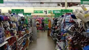 Dollar Tree