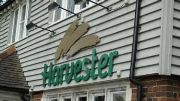 Harvester Windsor Lad Windsor