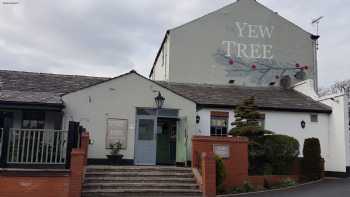 Yew Tree