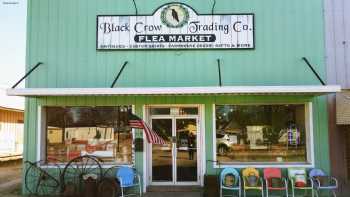 Black Crow Trading Co.