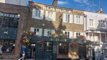 Roebuck