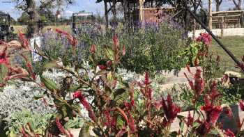 Windmill Meadow Flower Farm