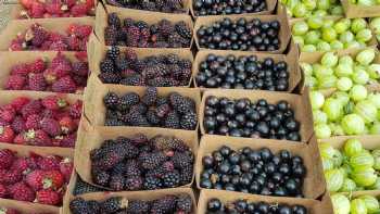 Walthamstow Farmers Market