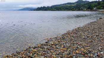 The Steamer Terminal