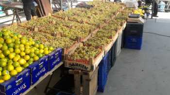 Menteş Gıda Market